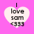 Four heart-shaped icons with 'I love sam <333' text on a pink background, each showing different pixelation levels.