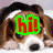 A dog's face with 'hi!' text in different colored outlines