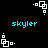 Pixelated cyan text "skyler" appears below white geometric shapes on a black background, with multiple identical configurations visible across the