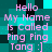 Pixelated text on a teal and black checkered background reads "Hello My Name Is Called Ping Ping Tang :]" in two identical vertical