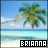 Pixelated beach scene with palm tree, ocean, and sky; two versions of the name 'BRIANNA' in contrasting text boxes.