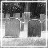 A 48x48 pixel animated contact sheet showing two grayscale frames of a ghostly figure in motion against a dark background with faint tree silhouettes.