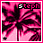Pixelated pink and black palm tree with 'steph' text at top, star symbol in bottom left corner.