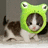 A pixelated kitten wearing a green frog hat appears on the left side of a bright green background with black text reading "im not NORMAL" and "IM WEIRD" in various positions.
