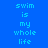 Blue background with light blue pixelated text reading "swim is my whole life" arranged in a pattern, showing animation changes across three