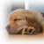 A static pixelated image of a brown and beige object with indistinct shapes and no visible text or recognizable subjects.