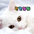 A 4-frame animated contact sheet of a white cat's face with changing expressions and eyes, each frame topped by four colored square icons on a gray background.