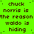 A static digital image with bright green background and dark brown pixelated text repeating 'chuck norris is the reason waldo is hiding' in multiple