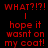 Red pixelated text on black background reads WHAT?!?!, I hope it wasnt on my coat! with visible animation changes in the lower-right corner.