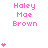 Pixelated pink text 'Haley Mae Brown' appears with varying numbers of small pink hearts above or below it on a white background.