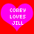 Two identical pink hearts on red background with white text reading COREY LOVES JILL in pixelated font.