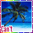 Animated beach scene with palm trees and blue water, displaying sequential text changes from 'Can't' to 'wait', then 'till', ending on 'summer!' across three