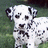 Pixelated image of a Dalmatian dog with white fur and black spots, standing against a green background.