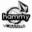 Animated icon with circular shape and triangular element, displaying text 'hammy' in first frame then removing it while maintaining the rest of the design.