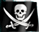 A black-and-white pirate flag icon with a skull and crossed swords, showing subtle variations in brightness