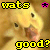 iconhell_sexeyforlyfe_wats good
