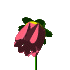 Pixelated flower icon with pink petals, yellow center, and green stem in three of showing bloom progression