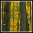 Pixelated forest background with yellow foliage and dark tree trunks, transitioning to white background with pixelated text and a pixelated owl.