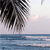 Pixelated coastal scene with dark tree silhouette against light sky and blue water horizon.