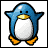 Blue penguin with white belly, yellow beak and feet in three distinct poses across a