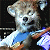 A pixelated animated contact sheet showing a cartoon bear character in two frames with green text reading "Original Icons .com" on the right side.