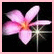 Static pixelated image of a five-petaled flower with pink and white petals, orange center, and green stem against black background.