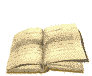 Animated sequence of an open book's pages turning, showing sequential page flips from left to right