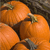 Three orange pumpkins with green stems rest on a dark brown textured surface, viewed from a slightly elevated angle.