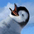 A pixelated penguin with a black-and-white body and brown beak appears against a light blue background, accompanied by text on the right side of the image.