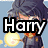 Pixel art character with dark hair, green eyes, and glasses holds a glowing yellow orb; text labels 'Harry' and 'Potter' appear in black-and-white block letters.