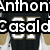 A collage of football jersey images with overlaid text fragments reading "Anthon Casald in my heart isn't just a game" and "Fire Ice in my veins Its life.".
