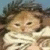 A pixelated kitten wrapped in a blanket with text overlays changing across frames.