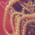 Pixelated static image shows a figure with long hair against warm-toned background, featuring heart-shaped outline on left side.