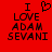 Red background with black pixelated text reading "I LOVE ADAM SEVANI" and a heart symbol replacing the 'O' in LOVE on the left side.