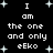 Black background with white pixelated text reading "I am the one and only eEko" repeated in two , surrounded by small plus-shaped stars
