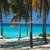 Pixelated static image of a beach scene with turquoise water, sandy shore, and dark vertical structures resembling trees or poles.