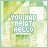 identical pixelated icons with text 'YOU HAD ME AT HELLO' over a blurred green and white background