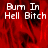 Red background with white text reading "Burn In Hell Bitch" in pixelated font, divided into four quadrants with one gray quadrant.