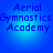 Four identical blue circular icons with pixelated text reading 'Aerial Gymnastics Academy' in dark blue on a light blue gradient background.