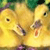 Two yellow ducklings with brown beaks and black eyes face each other against a blurred green background.