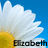 A pixelated image shows a white flower with yellow center against blue sky, overlaid with black text reading 'Elisabeth' at bottom right.