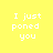 Yellow background with white text "I just poned you" displayed across four , each featuring a pink rectangular overlay in different positions