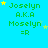 Green text on cyan background with yellow and light blue stars; 'Joselyn A.K.A Moselyn =R' repeated in pattern, some stars animated