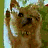 A 4-frame animated contact sheet showing a brown dog with white chest and paws in various poses against green foliage background, each frame displaying distinct facial expressions and limb positions.