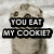 A four- shows a dog's face with text overlays; the top-left displays 'YOU EAT MY COOKIE?' while the other show question marks