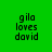Green background with black text reading 'gilo loves david' in four , each containing a blue horizontal bar at different positions