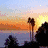 Four distinct sunset scenes arranged in a , each with unique color palettes and silhouettes against water