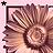 Pixelated pink and brown floral design with a black star in the top-left corner, enclosed by a dark border on three sides.