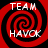 Four identical red and black spiral patterns with white text reading TEAM HAVOK arranged in a on a black background