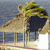 A pixelated image shows a giraffe standing under a thatched structure with a dark blue object nearby, set against a blurred background.